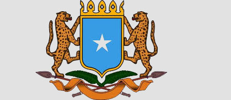 Federal Government of Somalia Institutions